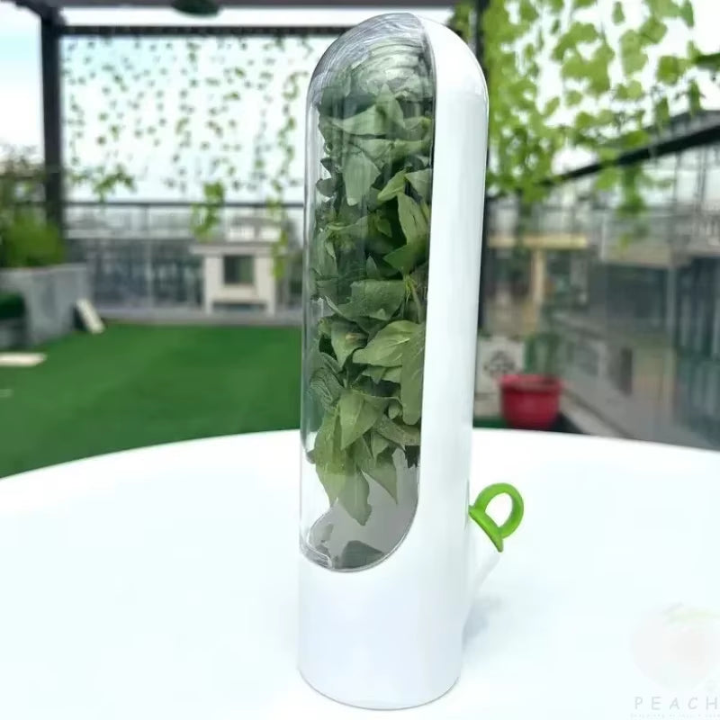 Cross-Border Vanilla Vegetable Fresh-Keeping Box Dust-Proof Anti-Pressure Environmental Protection Fresh-Keeping Device Creative