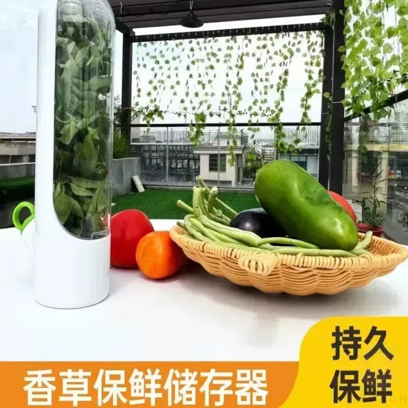 Cross-Border Vanilla Vegetable Fresh-Keeping Box Dust-Proof Anti-Pressure Environmental Protection Fresh-Keeping Device Creative